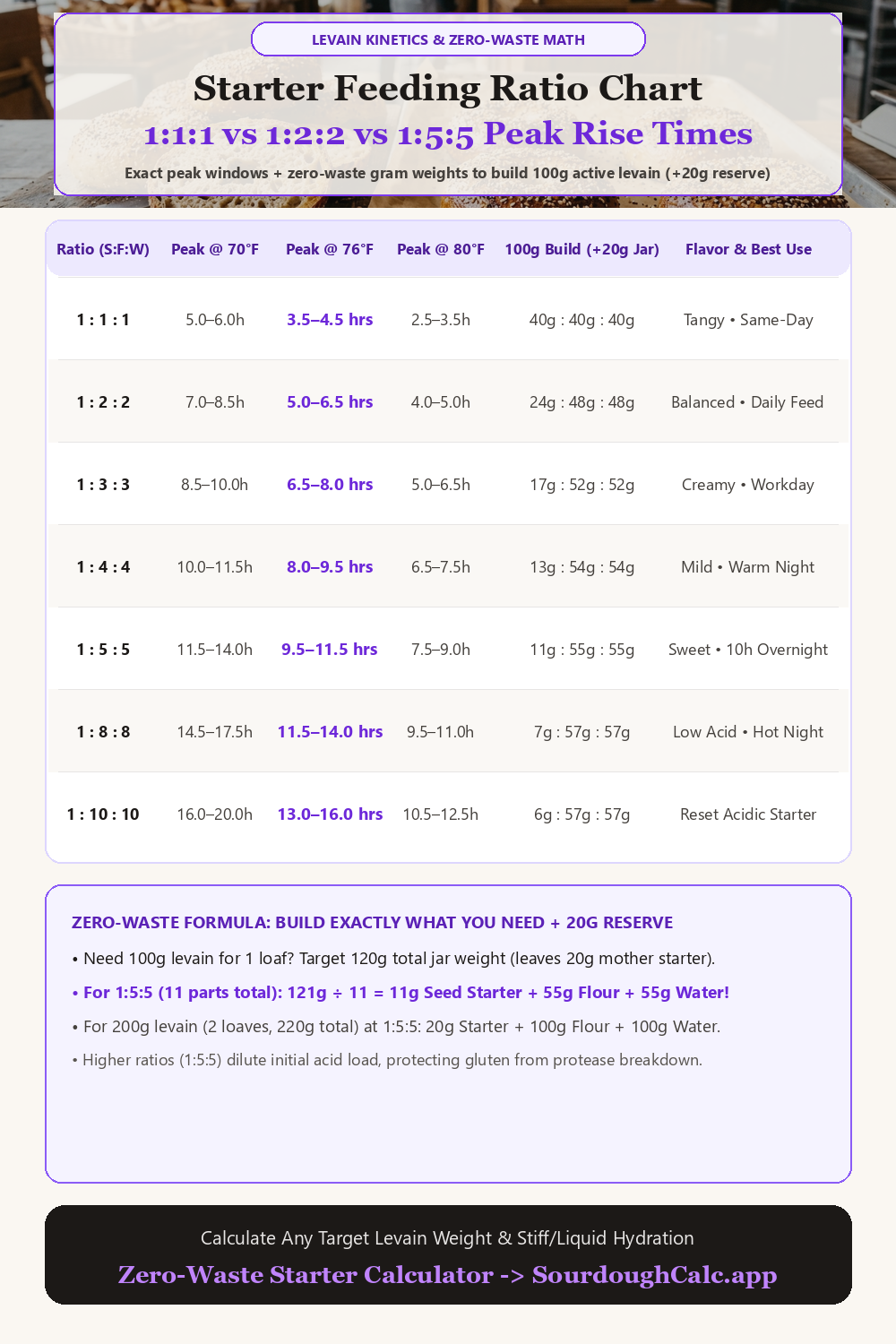 Chart comparing 1:1:1, 1:2:2, 1:3:3, 1:4:4, 1:5:5, 1:8:8, and 1:10:10 sourdough starter feeding ratios with peak times across temperatures and exact zero-waste gram weights for a 100g levain build.