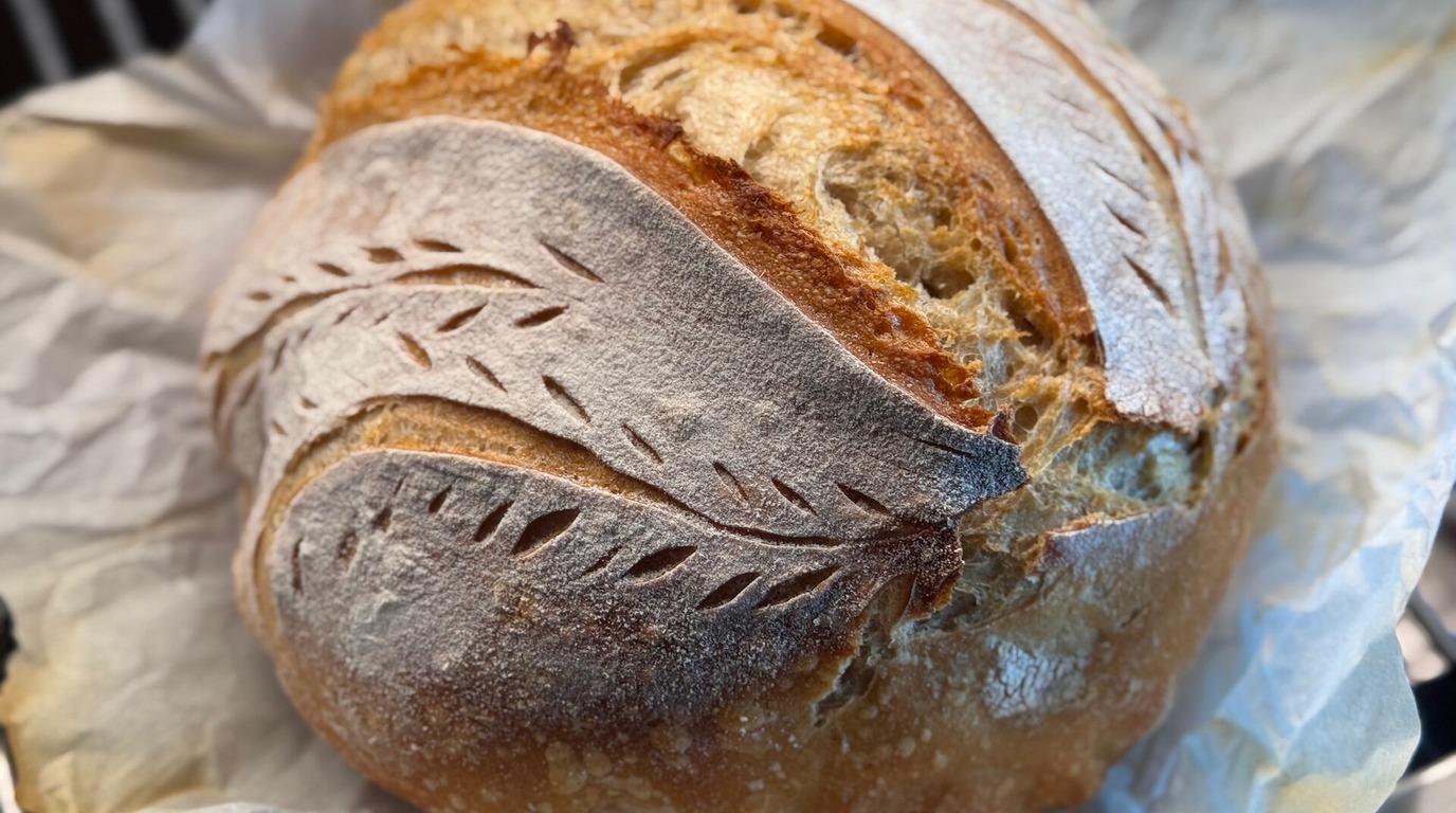 Crusty round country sourdough boule with scored top crust freshly baked for a same-day schedule
